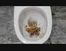 M&M'sとハンバーガーをトイレに流してみた