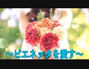 ～ビエネッタを愛す～