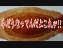 中どうなってんだよこれッ!!