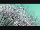 【original song/オリジナル曲】Elf【Artist：LeaK】