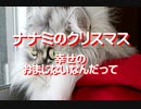 【みちのく壁新聞】ナナミのクリスマス、幸せのおまじないなんだって