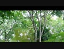 今年のM-1を観て/らじおZATSUDANic　NAITVE