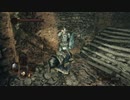 【DARK SOULS Ⅱ SCHOLAR OF THE FIRST SIN】-絶望を焚べよ-　１週目を普通に攻略　～其の１０～【ダクソ２】