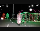 【個性の主張】スターナイトスノウ で動いてみた【今年もお世話になりました！！！】