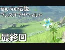 【趣味】拙いですがパンツでマスターになる【ゼルダの伝説ブレスオブザワイルド】Last pants