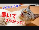 旅行から帰ってきた飼い主と久しぶりの再会をした結果…