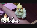 加齢(24歳)により体が硬くなって来ているようです
