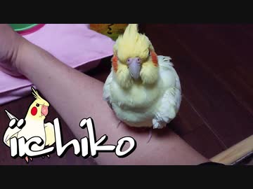 加齢(24歳)により体が硬くなって来ているようです