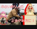 【MMD】うさぎと一緒に錯視・錯覚を見ていこう五夜目！【MMD杯ZERO3参加動画】