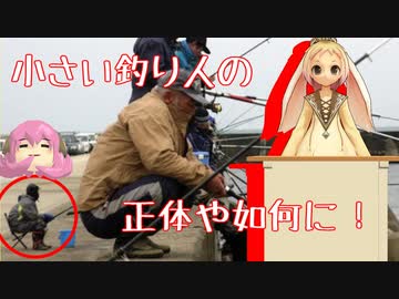 【MMD】うさぎと一緒に錯視・錯覚を見ていこう五夜目！【MMD杯ZERO3参加動画】