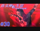 RE出たけど無印版を初見プレイ【真・女神転生ⅢNOCTURNE】　＃30