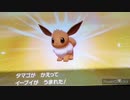 ❮実況❯ポケットモンスターシールド　part 29