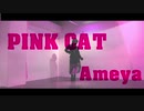 【雨谷】PINK CAT【踊ってみた】