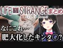 「なにこれ・・・肥大化したキンタ○？」【委員長のライフイズストレンジまとめ】