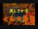 【 旅動画 】伊勢原の大山で紅葉狩りじゃ！