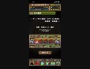 【パズドラ】ヴィーザル降臨壊滅級 ソロ周回編成