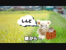 老人と海