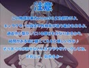 全てを失った付喪神が幻想入り　第十四張