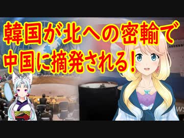 【韓国の反応】泥棒していた所を大泥棒に捕まって恥をかいた・・・。北に石油を密輸した韓国が、中国に摘発されていた事が判明【世界の〇〇にゅーす】