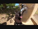 【地域猫】 Tik Tok で100万再生した動画【猫動画】