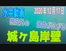 水中動画（2020年12月17日）in 城ヶ島岸壁