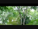1分配信/らじおZATSUDANic　NATIVE