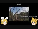 元産直店員の脱サラ農業　第三十四回