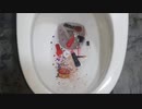 クリスマスをトイレに流してみた４