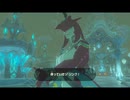 【ゼルダの伝説BotW】OLがゆく救国の旅【その17】