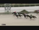 2020年12月24日園田競馬5R ２０２０ＹＪＳファイナルラウンド園田第１戦(C2) エンドオブジアース