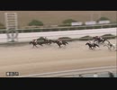 2020年12月24日園田競馬7R ２０２０ＹＪＳファイナルラウンド園田第２戦(C2) マーティンヒル