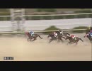 2020年12月24日園田競馬9R ２０２０ＹＪＳファイナルラウンド園田第３戦(C2) クリノガオガオ