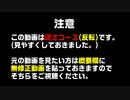 逆さ騙しコース 反転版 マリオメーカー２【マリオメーカー２】