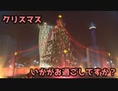 【Cities:Skylines】メリークリスマス！！街の様子は今