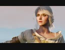 #10-4【ファミリー・カウンセラー】100%トロフィー取得&物語解説【THE WITCHER 3 WILD HUNT】