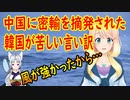 【韓国の反応】韓国が見苦しい言い訳を開始！中国が何も言ってこないからフェイクだ！【世界の〇〇にゅーす】