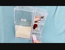 Amazonでえりかが購入したcosme brush case！