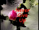 Never Give Up － sia
