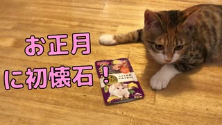 お正月に猫の食事を豪勢にしてみたら、いつもとテンションが違う…ｗ