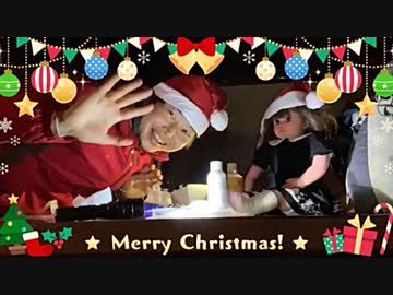2020年12月24日2枠目　1羽丸ごとからあげ、おかしいからやまのクリスマスチキン&リニューアルした中野区平和の森公園、他
