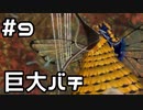 【実況】ピクミン3DXをやってみる。9日目