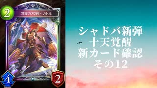 【シャドウバース】【ゆっくり雑談】＜Eternal Awakening 十天覚醒＞新カード確認動画の12