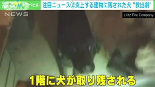 米　炎上する建物に・・・取り残された犬の“救出劇”