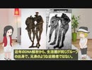 【ゆっくり解説】欧州鉄器時代のカップル的なミイラを紹介【Weerdinge Couple】