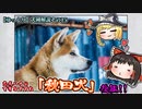 【ゆっくり犬種解説】その15「秋田犬」後編