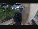 公園の蛇口から水を飲む黒い野良猫「スミマセン、水飲みたいので蛇口開けて下さい。」私「あ。はい・・・」