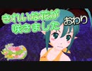 【ゆっくり実況】きれいな花が咲きました ～おわり～【花咲か妖精フリージア】