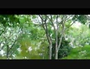 明石家サンタ終了直後/らじおZATSUDANic　NATIVE