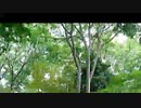 明石家サンタ終了20時間後/らじおZATSUDANic　NATIVE
