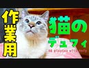 【作業用 猫のデュフィ】勉強や仕事のおともに！デュフィがあなたの隣でずっとまったりしててくれる動画。